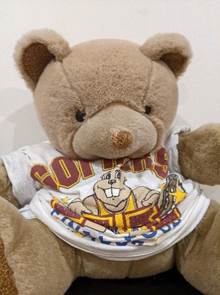 A stuffed bear wearing a t-shirt

AI-generated content may be incorrect.